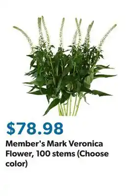 Sam's Club Member's Mark Veronica Flower, 100 stems (Choose color) offer