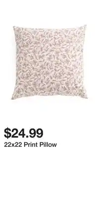 TJ Maxx 22x22 Print Pillow offer
