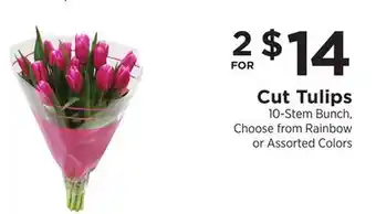 ShopRite Cut Tulips offer
