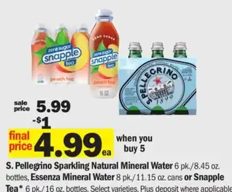 Meijer S. Pellegrino Sparkling Natural Mineral Water 6 pk./8.45 oz. bottles, Essenza Mineral Water 8 pk./11.15 oz. cans or Snapple T offer