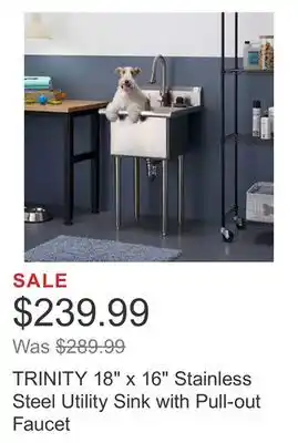 Costco TRINITY 18 x 16 Stainless Steel Utility Sink with Pull-out Faucet offer