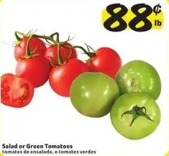 Fresco y Más Salad or Green Tomatoes offer