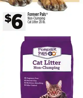 Dollar General Forever Pals Non-Clumping Cat Litter offer