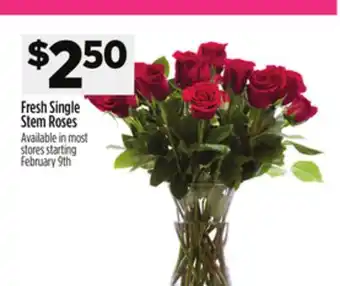 Dollar General Fresh Single Stem Roses offer