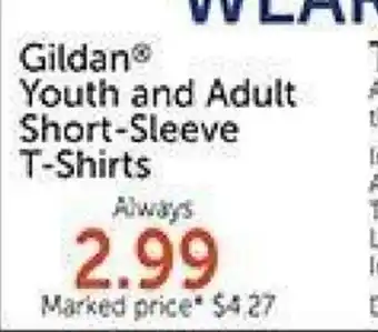 Hobby Lobby Gildan Youth and Adult Short-Sleeve T-Shirts offer