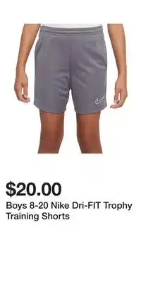 Kohl's Boys 8-20 Nike Dri-FIT Trophy Training Shorts offer