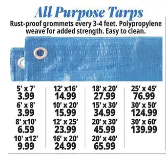 Ocean State Job Lot All-Purpose Tarps offer