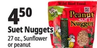 Ocean State Job Lot Suet Nuggets offer