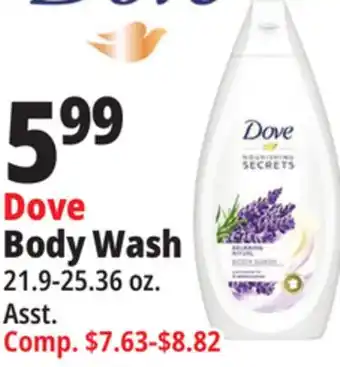 Ocean State Job Lot Dove Body Wash offer