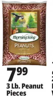 Ocean State Job Lot 3 Lb. Peanut Pieces offer