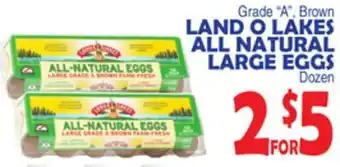 Bravo Supermarkets LAND O LAKES ALL NATURAL LARGE EGGS offer
