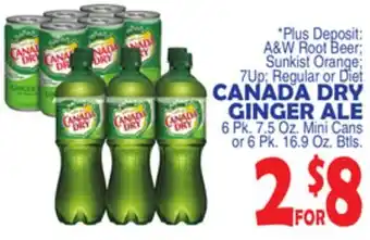 Bravo Supermarkets CANADA DRY GINGER ALE offer