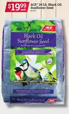 Ace Hardware ACE 20 Lb. Black Oil Sunflower Seed offer