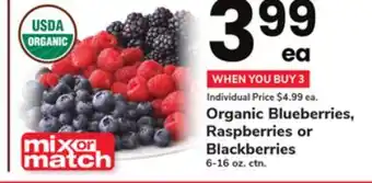 ACME Organic Blueberries, Raspberries or Blackberries offer