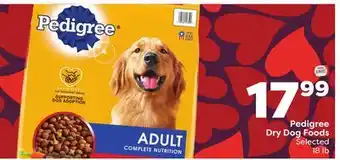 Weis Markets Pedigree Dry Dog Foods offer