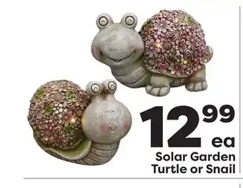 Weis Markets Solar Garden Turtle or Snail offer