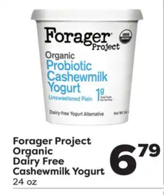 Weis Markets Forager Project Organic Dairy Free Cashewmilk Yogurt offer