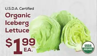 DeCicco & Sons Organic Iceberg Lettuce offer
