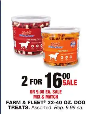 Blain's Farm & Fleet FARM & FLEET 22-40 oz. DOG TREATS offer