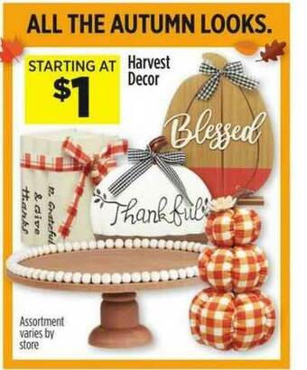 Dollar General Harvest Decor offer