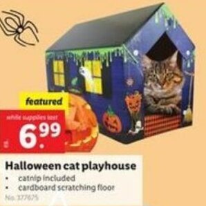 Lidl Halloween Cat Playhouse offer