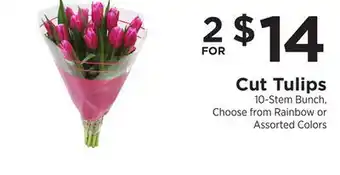 ShopRite Cut Tulips offer