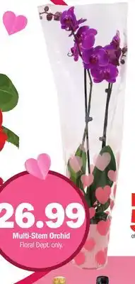 Meijer Multi-Stem Orchid offer