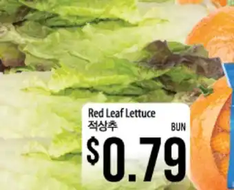 Hmart Red Leaf Lettuce offer