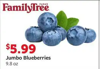 Fareway Jumbo Blueberries offer