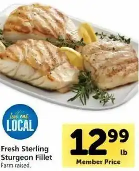 Safeway Fresh Sterling Sturgeon Fillet offer
