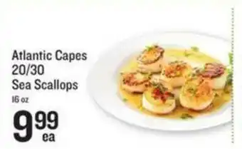 Lowes Foods Atlantic Capes 20 30 Sea Scallops offer