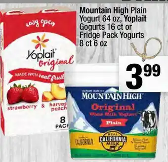 Super King Markets Mountain High Plain Yogurt, Yoplait Gogurts Or Fridge Pack Yogurts offer