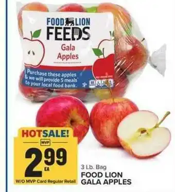 Food Lion Gala Apples offer