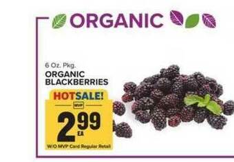 Food Lion Organic Blackberries offer
