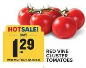 Food Lion Red Vine Cluster Tomatoes offer