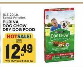 Food Lion Purina Dog Chow Dry Dog Food offer