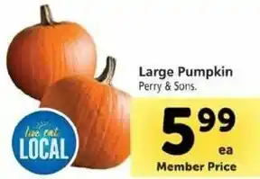 Safeway Large Pumpkins offer