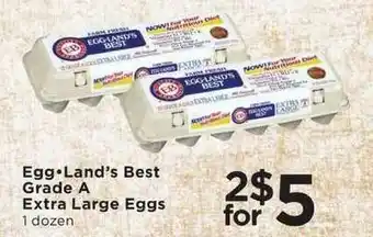 Egg . Land's Best Grade A Extra Large Eggs
