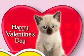 Target Whitman's assorted chocolate heart box offer