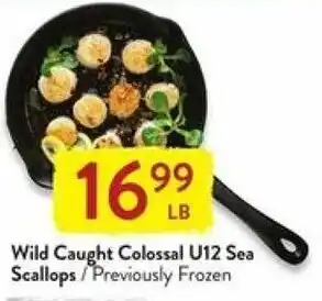Fresh Thyme Wild Caught Colossal U12 Sea Scallops offer