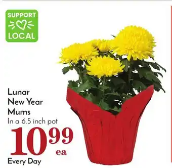 Pavilions Lunar New Year Mums offer