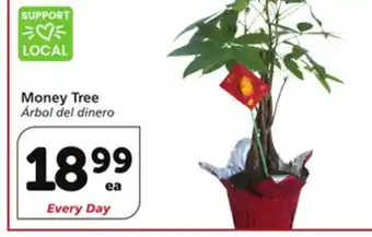 Vons Money Tree offer