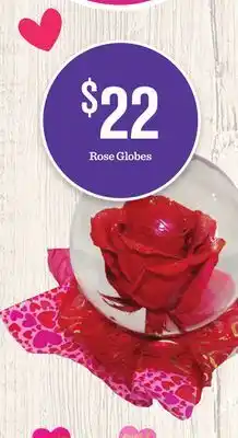 Mariano's Rose Globes offer