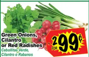 Superior Grocers Green Onions, Cilantro or Red Radishes offer
