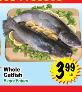 Superior Grocers Whole Catfish offer