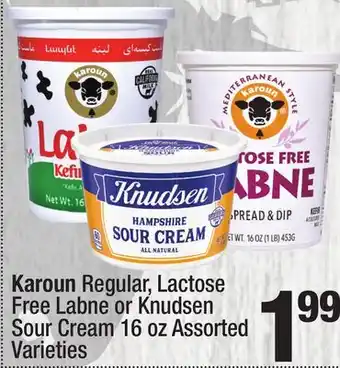 Super King Markets Karoun Regular, Lactose Free Labne or Knudsen Sour Cream offer