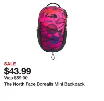 Dick's Sporting Goods The North Face Borealis Mini Backpack offer