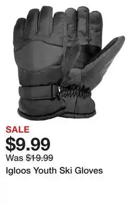 Dick's Sporting Goods Igloos Youth Ski Gloves offer