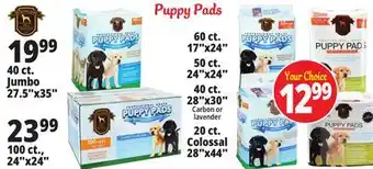Ocean State Job Lot Puppy Pads offer