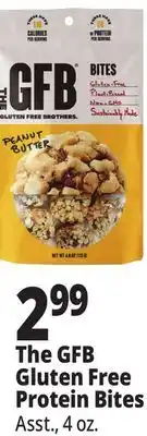 Ocean State Job Lot The GFB Gluten Free Protein Bites offer